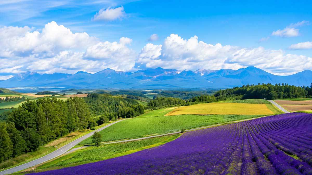Hokkaido-Furano-Biei